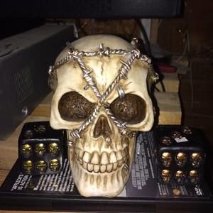 Meet your Posher, Paul